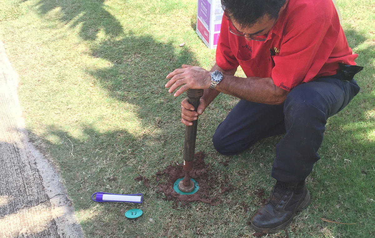 Ground Termite Treatment Aloha Pest Solutions Kauai Maui Hawaii